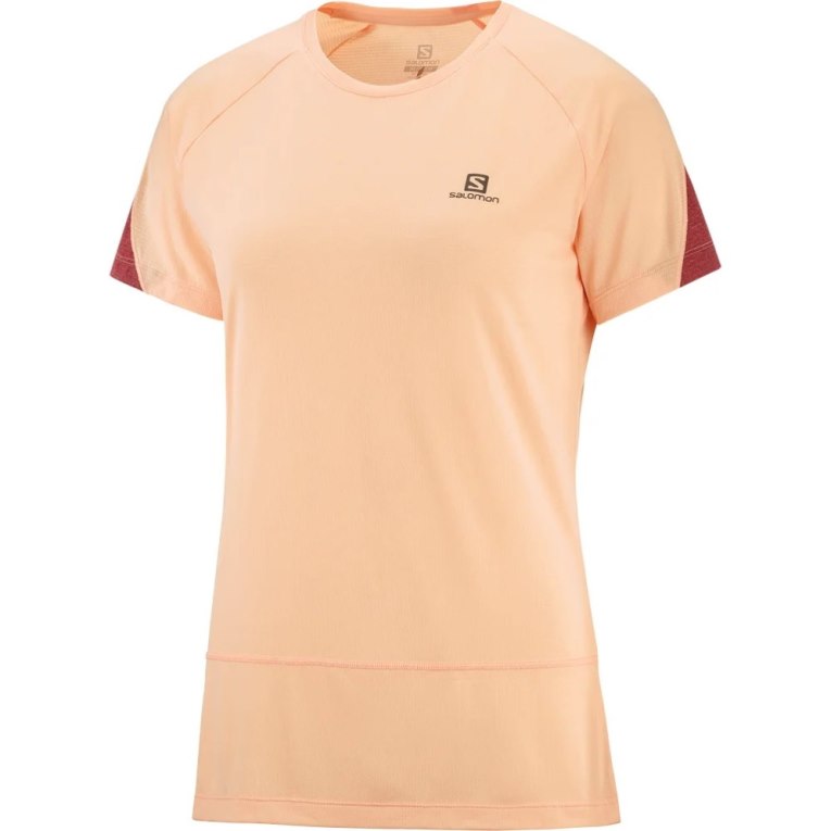 Camiseta Salomon Cross Run Curta Sleeve Feminino Abricó | PT A58174